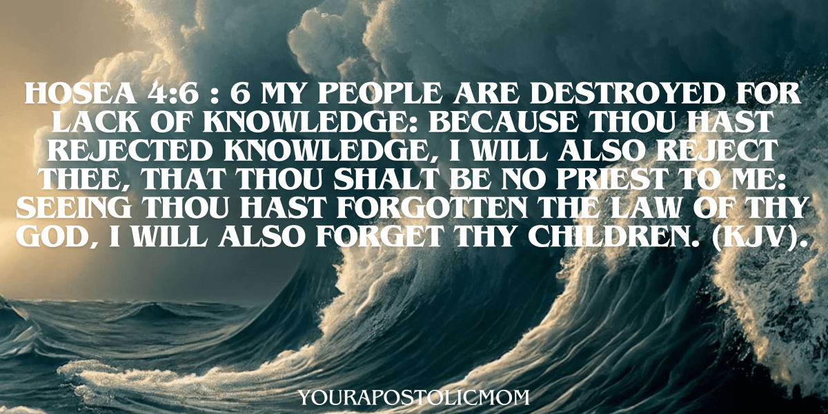 MY PEOPLE PERISH – FOR LACK OF&nbsp;KNOWLEDGE